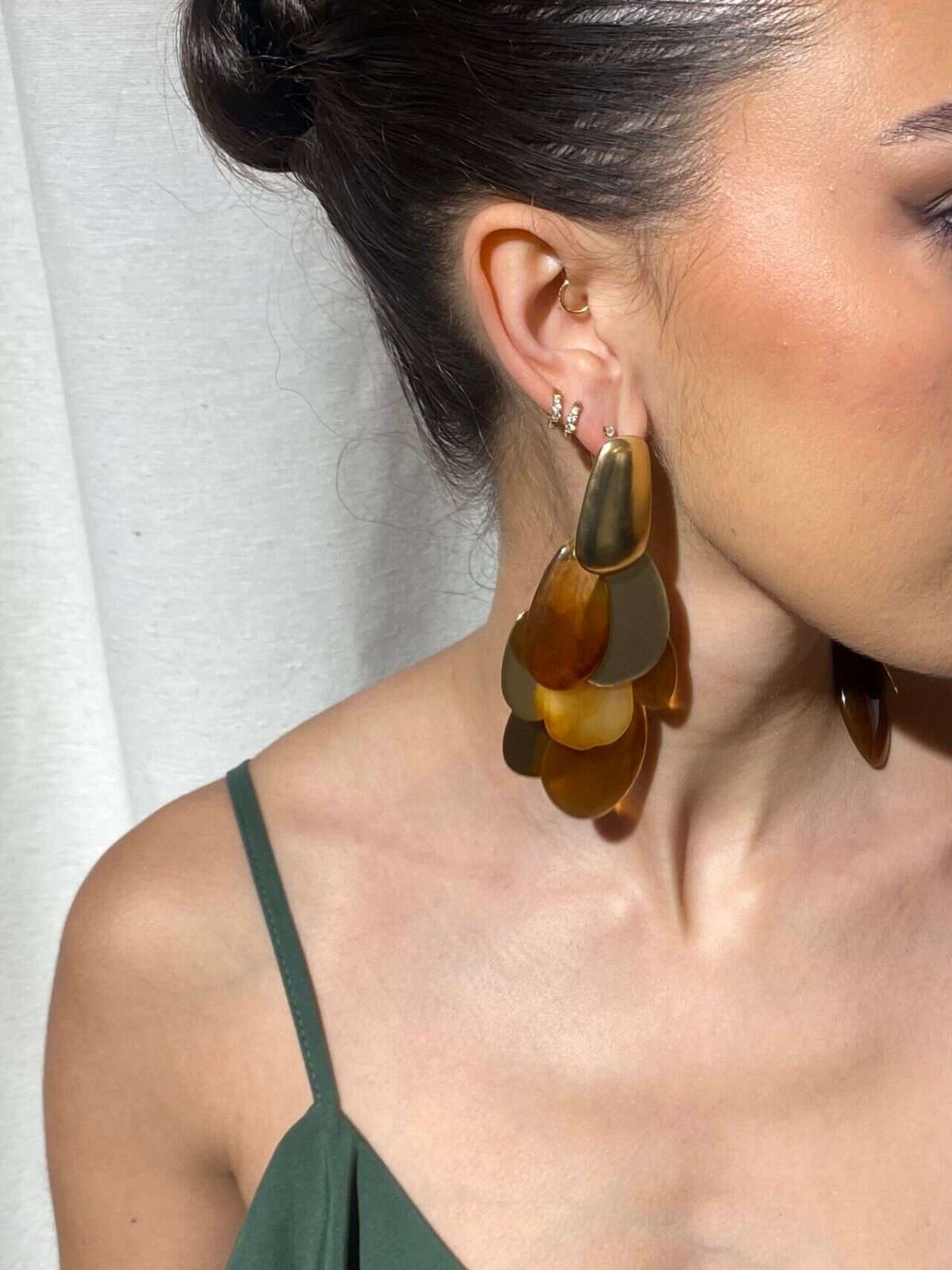 Pendientes Carey